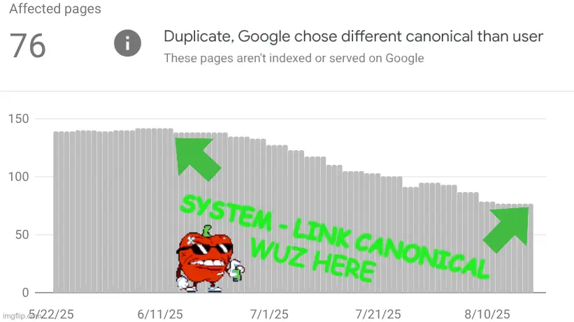 System - Link Canonical
