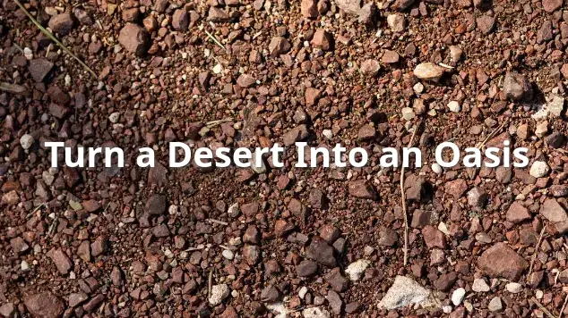 Publishing Drives SEO Rankings and Traffic